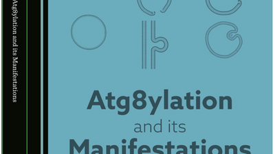 eBook: 'Atg8ylation and its manifestations'