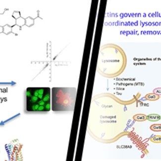 Combined research images