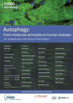 EMBO meeting on autophagy in Scotland