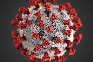 By Alissa Eckert, CDC